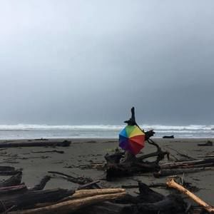 Meet your Posher, Phyllis